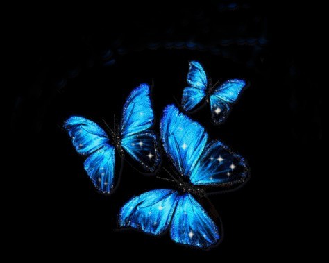 ee3dba4d4d_26427983_o2