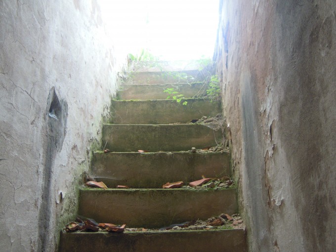 DSCN2621